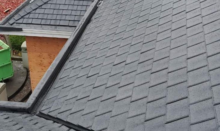 Synthetic / Composite Roofing Whistler